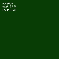 #083E05 - Palm Leaf Color Image